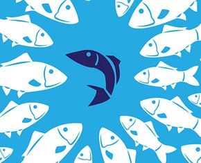 Battling the World’s Most Virulent Virus