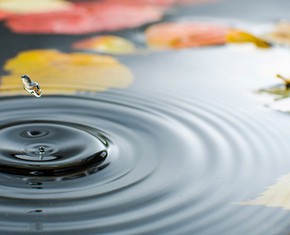 Tapping the Source of the Water of Life
