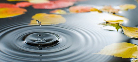 Tapping the Source of the Water of Life