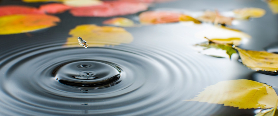 Tapping the Source of the Water of Life