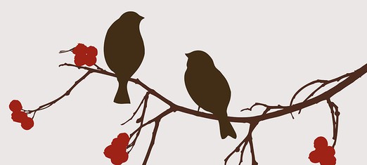 Twin Birthdays: The Mystery of the Birth of the Bab