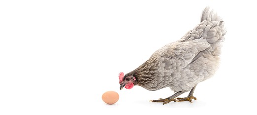 What Came First: The Idea or the Reality?
