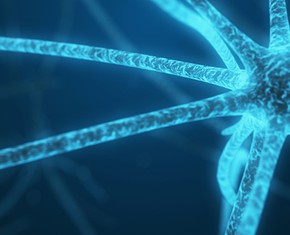 Your Inner Ecosystem—the Microbiome