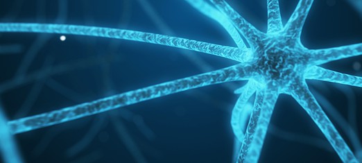 Your Inner Ecosystem—the Microbiome