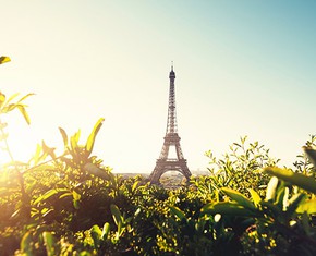 Escoger la esperanza, no el odio: Reflexiones sobre los bombardeos en París