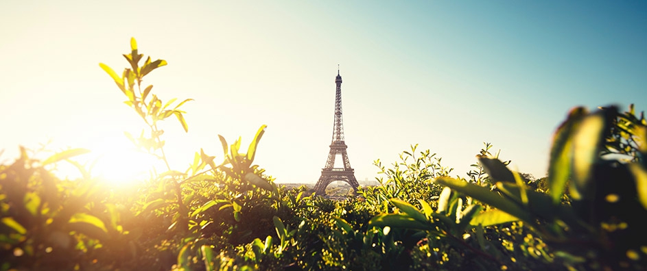 Choosing Hope, not Hate: Reflections on the Paris Bombings