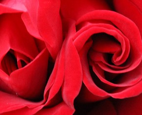 Twin Birthdays: The Glorious Birth of Baha’u’llah