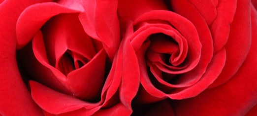 Twin Birthdays: The Glorious Birth of Baha’u’llah