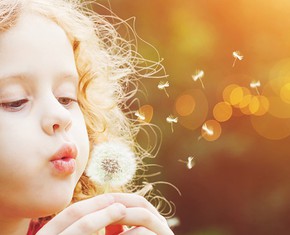 The Spiritual Life of Children