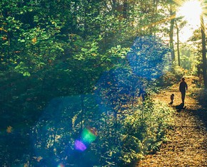 Progressing Along the Path of Consciousness