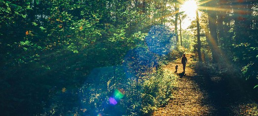 Progressing Along the Path of Consciousness