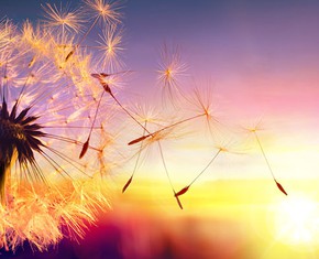 A New Way to Comprehend the Holy Spirit