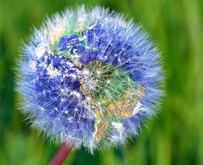 The Springtime of the Inner World