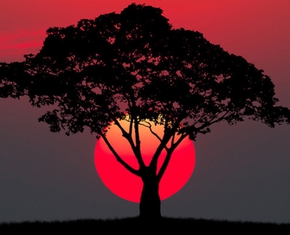 Do Revelations Begin in Dreams?