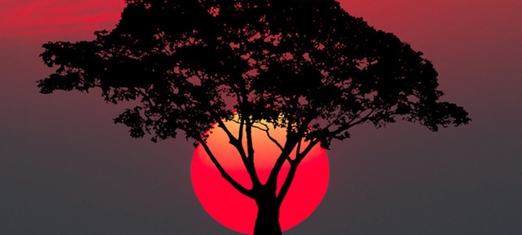 Do Revelations Begin in Dreams?