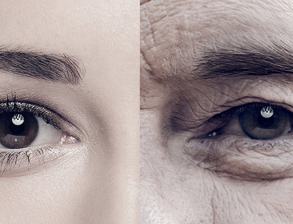Why Do We Age, and What Does it Mean for Our Souls?