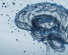 The Human Intellect: the Highest Light that Exists