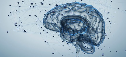 The Human Intellect: the Highest Light that Exists