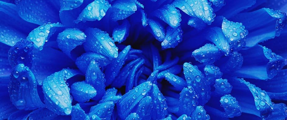 Una ley universal que gobierna toda la naturaleza