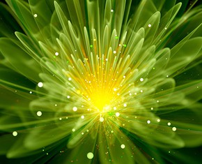 One Global NGO that Unites Science and Spirituality