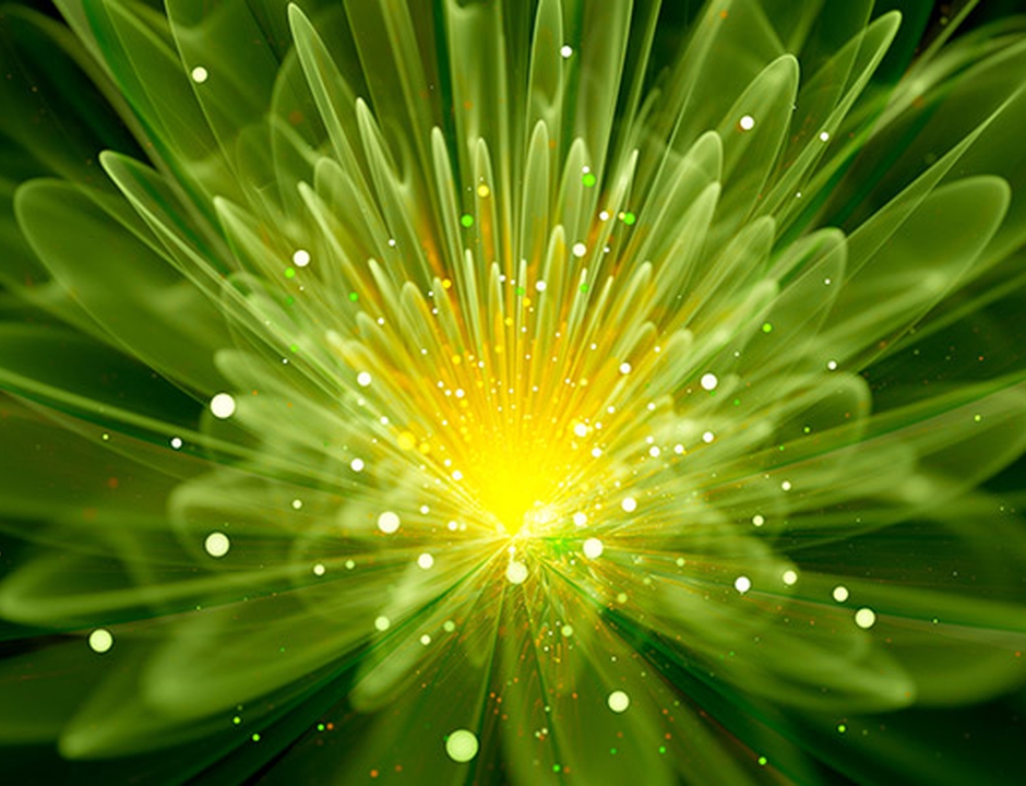 One Global NGO that Unites Science and Spirituality