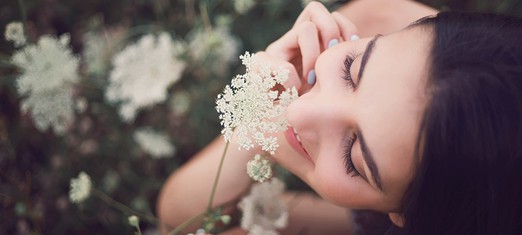 We Can Only Know the Essence through the Attributes