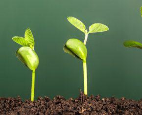 4 Giant Steps to Spiritual Maturity
