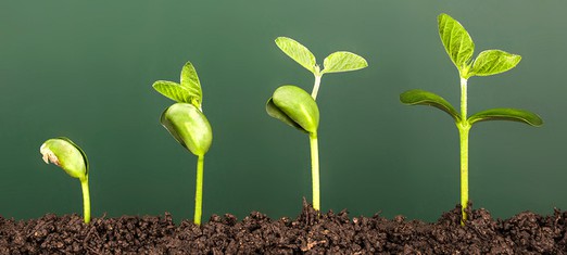 4 Giant Steps to Spiritual Maturity