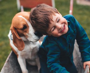 What All Those Animal Videos Say About Us
