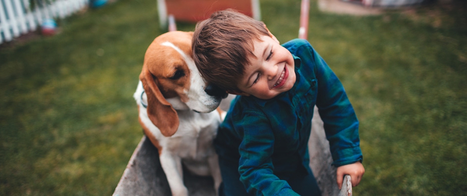 What All Those Animal Videos Say About Us