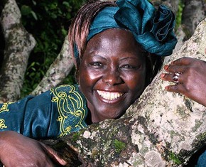Africa’s “Woman of the Trees”