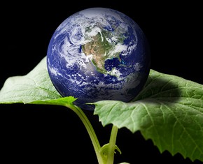 3 Principles for Creating a New World Order
