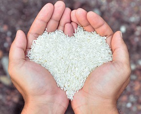 7 Baha’i Economic Principles that Will Feed the Poor