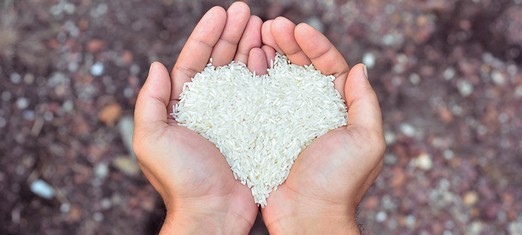 7 Baha’i Economic Principles that Will Feed the Poor