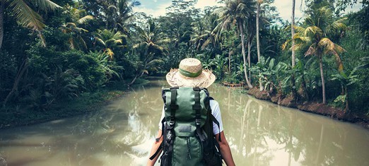 UN World Environment Day: Connecting People to Nature