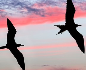 A Mother and Daughter, Executed Together