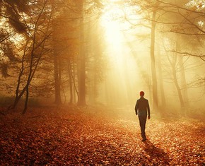 Walking the Valley of Spiritual Knowledge