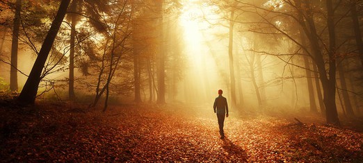 Walking the Valley of Spiritual Knowledge