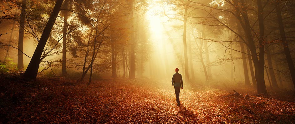 Walking the Valley of Spiritual Knowledge