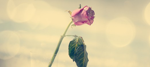 Baha’u’llah Grieves for His Young Son