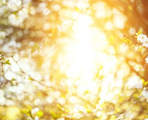 Does God Speak?
