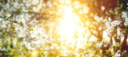 Does God Speak?