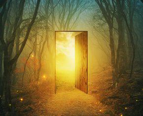 Who Lights Your Path? Recognizing the Center of Illumination