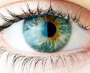 True Religion: No Blind Acceptance of Dogma