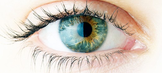 True Religion: No Blind Acceptance of Dogma