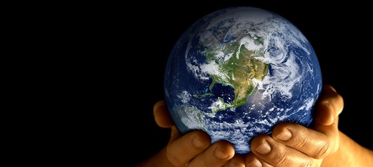 Beyond Treaties: What it Takes to Protect Our Planet