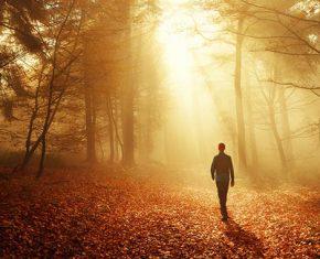 The Earth and Our Souls, Ashine with His Light