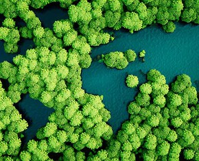 How to Build a United Global Environmental Movement