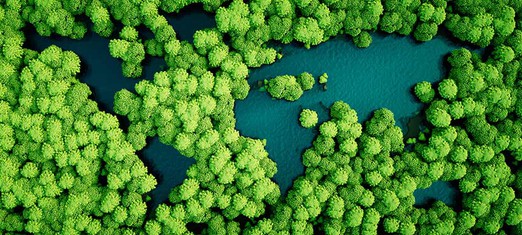 How to Build a United Global Environmental Movement