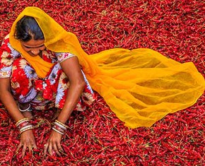 True Reliance: Exploring The Reality of Work